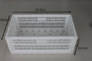 201709050900253922967
